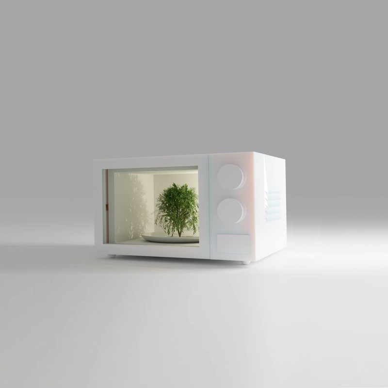 Jina Shim — Microwave
