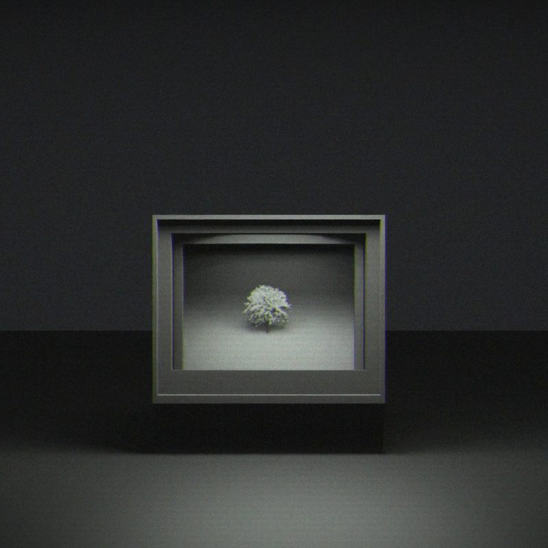 Jina Shim — Old TV